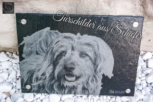 Hundebild auf einem Tiergrabstein, Tier-Gedenkplatte von Bella