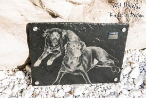 Tiergrabstein mit Foto vom Hund als Erinnerung