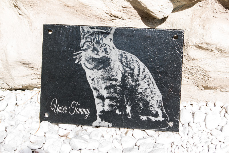 Tiergrabstein, Gedenkstein, Gedenkplatte, Katze, Hund, Haustier - Grabstein aus Schiefer mit Gravur 25 x35